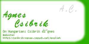 agnes csibrik business card